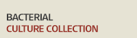 culture collection